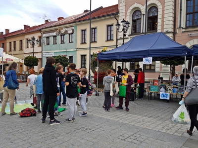 Za nami 2. Eko-dzień na żywieckim Rynku - zdjęcie15