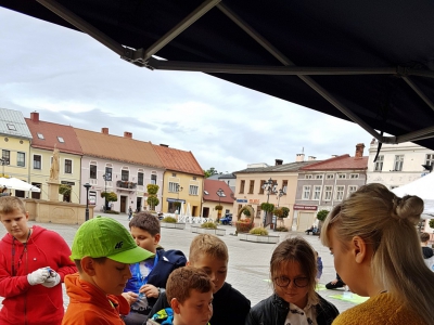 Za nami 2. Eko-dzień na żywieckim Rynku - zdjęcie3